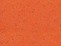 Mondo Sport Impact #062